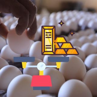 Restaurantes de Estados Unidos acrecientan crisis de huevos