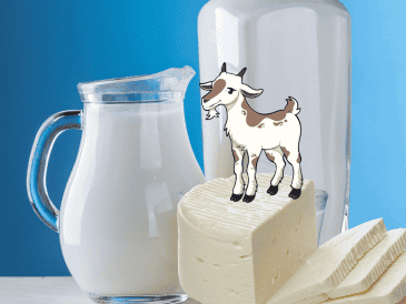 El queso de cabra es una fuente importante de calcio y proteínas. PEXELS / CANVA