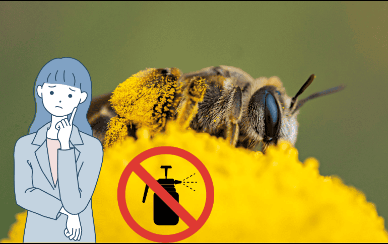 Este nuevo estudio ha tenido en cuenta a todo el espectro de especies que se encuentran en el mundo natural. EFE/ Annaïs Pascual/ ESPECIAL