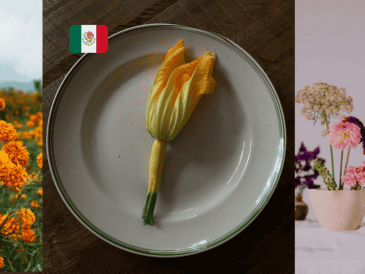 Los conocimientos acerca de los usos de la flora son herencia ancestral que aún permanecen con nosotros. Pexels y Canva