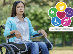 El objetivo es garantizar derechos y dar autonomía económica a quienes viven con una discapacidad permanente. ESPECIAL