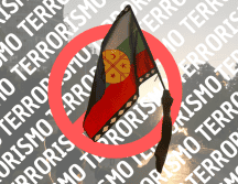 El Gobierno argentino cataloga Resistencia Ancestral Mapuche como 