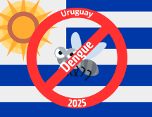 Uruguay se mantiene sin casos nativos de dengue en 2025. CANVA.