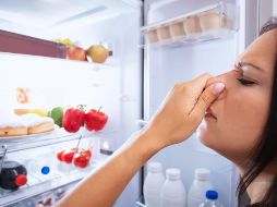 Si bien estos trucos pueden ayudar a eliminar los malos olores, la mejor solución es prevenirlos con una limpieza periódica del refrigerador. ESPECIAL / CANVA