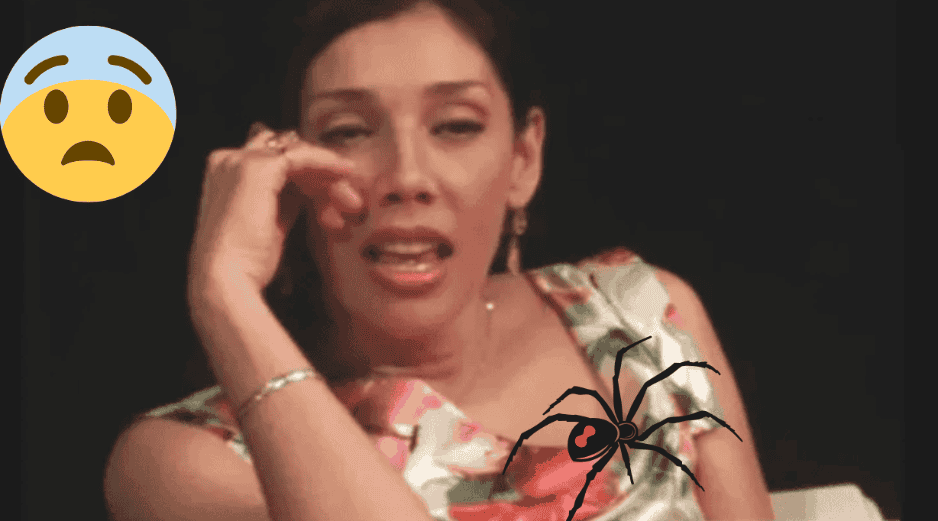 La actriz Cynthia Klitbo fue hospitalizada tras ser mordida por una araña viuda negra mientras se encontraba grabando en una locación en Guadalajara. EL INFORMADOR/ ARCHIVO/ CANVA