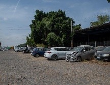 Con esta nueva medida se priorizarán los municipios de Puerto Vallarta, Arandas, Lagos de Moreno y Ciudad Guzmán. CORTESÍA