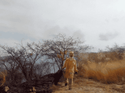 Hasta el momento, no se ha informado sobre las posibles causas que originaron el incendio. CORTESÍA.