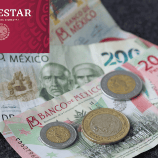 ¿De cuánto es el pago en los Programas del Bienestar para nuevos registros en febrero?