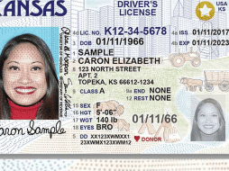 El DHS recomienda a los ciudadanos verificar con las aerolíneas y las agencias gubernamentales para asegurarse de contar con la documentación adecuada antes de la fecha límite del 7 de mayo de 2025. ESPECIAL/ARRP