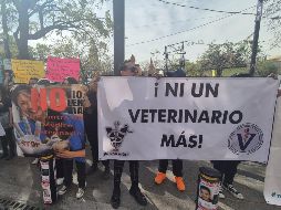 Entregaron un pliego petitorio para exigir a los diputados locales que se legisle en contra de los ataques que reciben los veterinarios en redes sociales. EL INFORMADOR / O. GONZÁLEZ