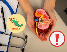 La enfermedad renal crónica (ERC) es una condición que se produce cuando los riñones se dañan y no funcionan correctamente. ESPECIAL