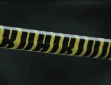 Los cazadores avisaron al número de emergencias, por lo que hasta el lugar arribaron agentes de la Secretaría de Seguridad Pública (SSP), quienes acordonaron la zona. EL INFORMADOR / ARCHIVO