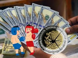 Este es el tipo de cambio del dólar para hoy 19 de febrero de 2025 en México. EFE / ARCHIVO