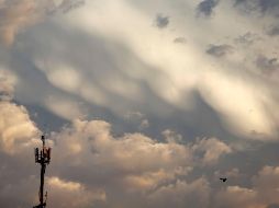 Las temperaturas mínimas en Guadalajara alcanzarán los 11 y 13°C. EL INFORMADOR / ARCHIVO