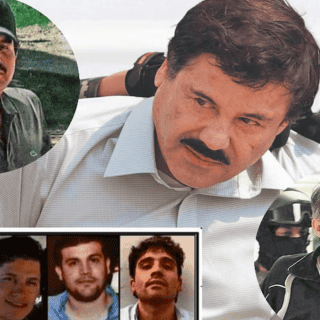 EU designa a cárteles mexicanos como grupos terroristas