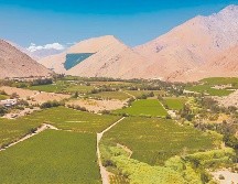 El paisaje se preservará por su valor cultural. ESPECIAL