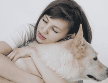 La compañía de un animal influye positivamente en la motivación y el desarrollo de habilidades sociales, especialmente en niños y adolescentes. UNSPLASH/ S. Sashina