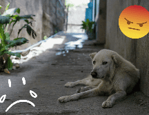 El robo fue condenado desde el primer momento en las redes sociales. UNSPLASH / A. Young