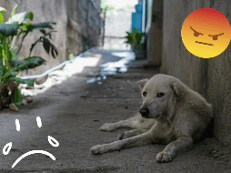 El robo fue condenado desde el primer momento en las redes sociales. UNSPLASH / A. Young