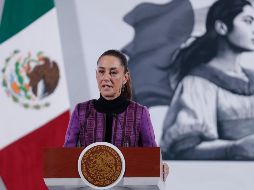 Anuar García, presidente de Grupo SOS Jalisco, señaló que no se tiene la capacidad para oponerse en su totalidad a Estados Unidos. EFE/I. ESQUIVEL