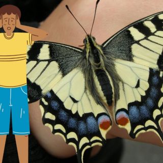 Adolescente fallece por inyectarse líquido extraído de mariposa muerta