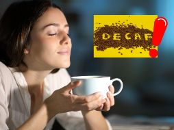 Estos pequeños parásitos, que se alimentan de la sangre humana, se esconden en colchones, muebles y grietas, causando incomodidad y posibles reacciones alérgicas. CANVA