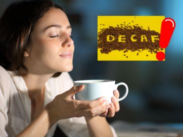 Estos pequeños parásitos, que se alimentan de la sangre humana, se esconden en colchones, muebles y grietas, causando incomodidad y posibles reacciones alérgicas. CANVA