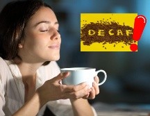 Estos pequeños parásitos, que se alimentan de la sangre humana, se esconden en colchones, muebles y grietas, causando incomodidad y posibles reacciones alérgicas. CANVA