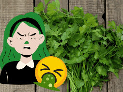 Ya seas amante o detractor del cilantro, este día es una oportunidad para explorar los misterios del gusto y compartir opiniones (o memes) sobre una de las hierbas más controversiales del mundo culinario. CANVA