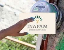 La tarjeta del Inapam se puede tramitar a partir de los 60 años. EL INFORMADOR / ARCHIVO