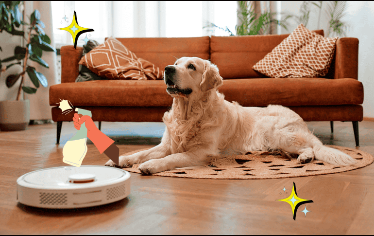 Una limpieza regular de tu hogar, con los productos adecuados, permitirá mantener el lugar en perfectas condiciones para ti y tu mascota. ESPECIAL