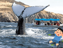 Estas ciudades ofrecen diversidad de paisajes. SUN / ARCHIVO