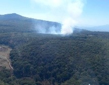 Durante 2024 se registraron 61 incendios forestales en el Bosque de la Primavera, sin embargo, de los últimos 10 años, en 2017 se documentaron más casos, 154, de acuerdo con datos del Organismo Público Descentralizado Bosque de la Primavera. ESPECIAL/X/ @PCJalisco.