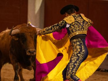 La muerte agónica del toro que conlleva la realización la 