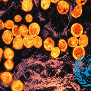 OMS mantiene emergencia internacional ante más casos de mpox