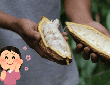 Disfruta de los productos que contienen cacao. SUN / ARCHIVO