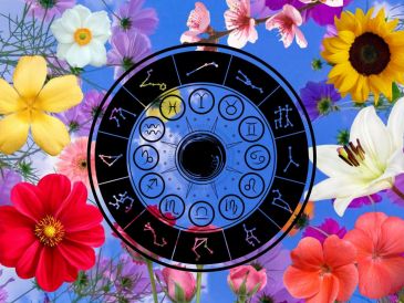 Conectar con la energía de tu flor puede ayudarte a potenciar tus cualidades y encontrar equilibrio en tu vida. CANVA