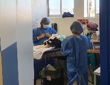 Los medicamentos se destinarán a distintos hospitales de Guadalajara. EL INFORMADOR / ARCHIVO