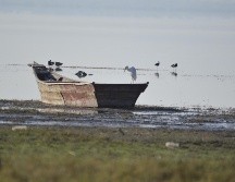 Este proyecto contempla la protección de 3,500 hectáreas. ESPECIAL