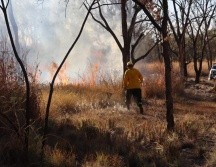 En las labores de control de las llamas trabajaron un total de 27 bomberos forestales. ESPECIAL/PC y Bomberos de Zapopan