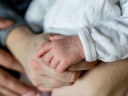 La Fundación Mexicana para la Planeación Familiar señala que la estructura de la familia puede variar, pero siempre cumple la función de ofrecer identidad y estabilidad. Pixabay