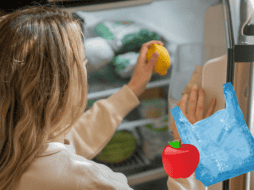 Utilizar bolsas de tela y bolsas transpirables reutilizables es una de las medidas que ayuda a que las frutas y verduras se oxigenen de forma eficiente. ESPECIAL/Imagen de Kevin Malik en Pexels