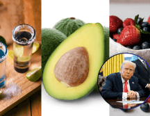 De acuerdo con el Consejo Nacional Agropecuario, uno de cada cuatro alimentos consumidos en Estados Unidos proviene de México. ESPECIAL EFE/Y. GRIPAS