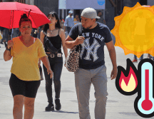 Se recomienda tomar precauciones para protegerse del calor durante el día y abrigarse ligeramente durante las horas más frescas. EL INFORMADOR / ARCHIVO / CANVA