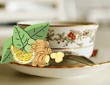 Las infusiones no solo hidratan en épocas de calor, también aportan los nutrientes de las plantas con las cuales son elaboradas. EL INFORMADOR / ARCHIVO