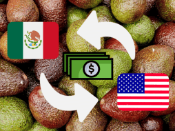 El 80% del aguacate que se consume en Estados Unidos es importado de México. PEXELS / CANVA