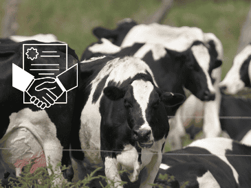 Las empresas cárnicas aseguraron sus inversiones para los próximos seis años. EL INFORMADOR / ARCHIVO