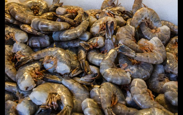 Conoce los precios que tienen los pescados y mariscos en esta cuaresma. EL INFORMADOR/A.NAVARRO