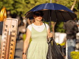 La temperatura máxima hoy en Guadalajara oscilará entre 31-33 °C y mínima de entre 11-13 °C. EL INFORMADOR / ARCHIVO
