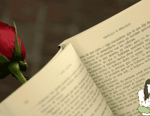 ChatGPT recomienda leer a estas escritoras por el 8 de marzo. EL INFORMADOR / ARCHIVO